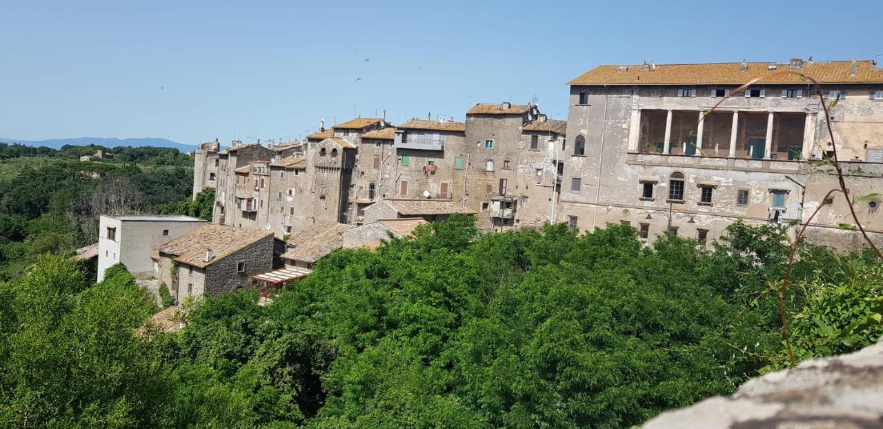 Hotel Torrebeatrice Bagnaia  Esterno foto